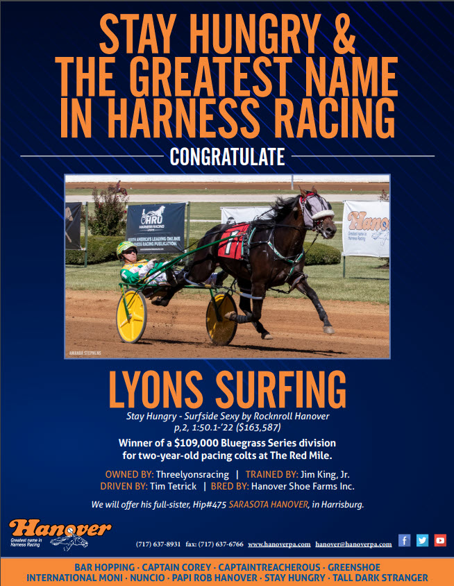 Lyons Surfing