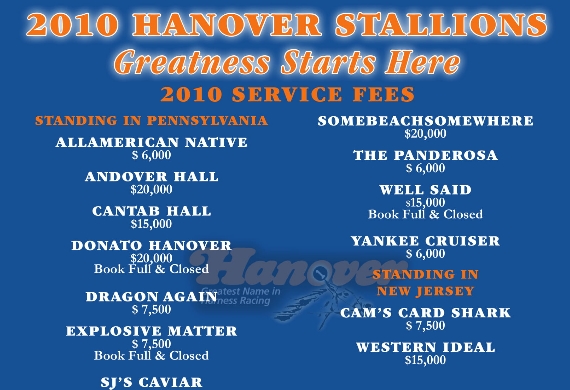 Hanover Stallions
