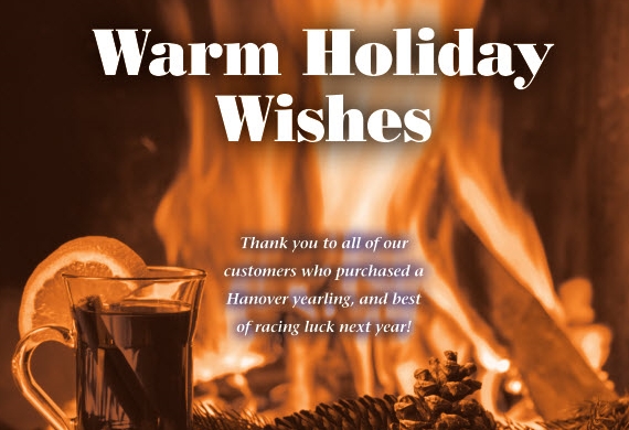 Holiday Wishes 2014