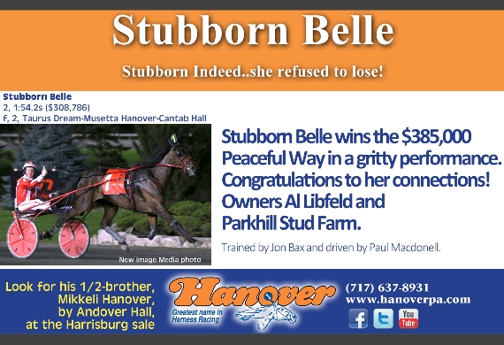 Stubborn Belle