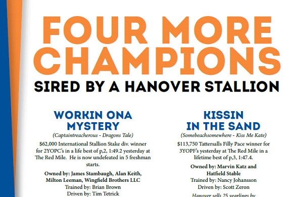 Champions Sired By HSF Stallions