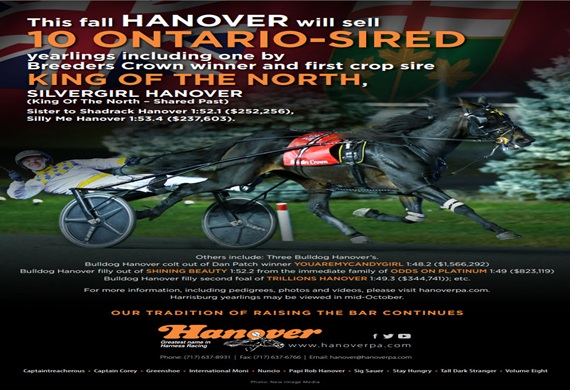 Ontario Sired Yearlings