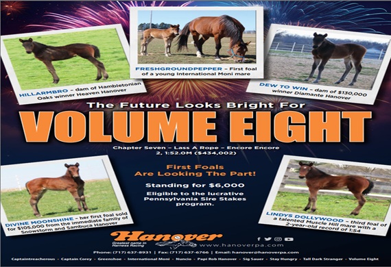 Volume Eight 2025