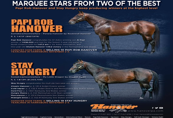 Papi Rob Hanover and Stay Hungry