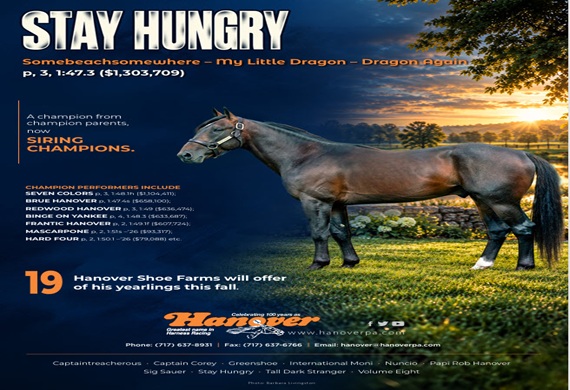 Stay Hungry Stranger