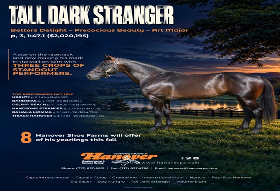 Tall Dark Stranger